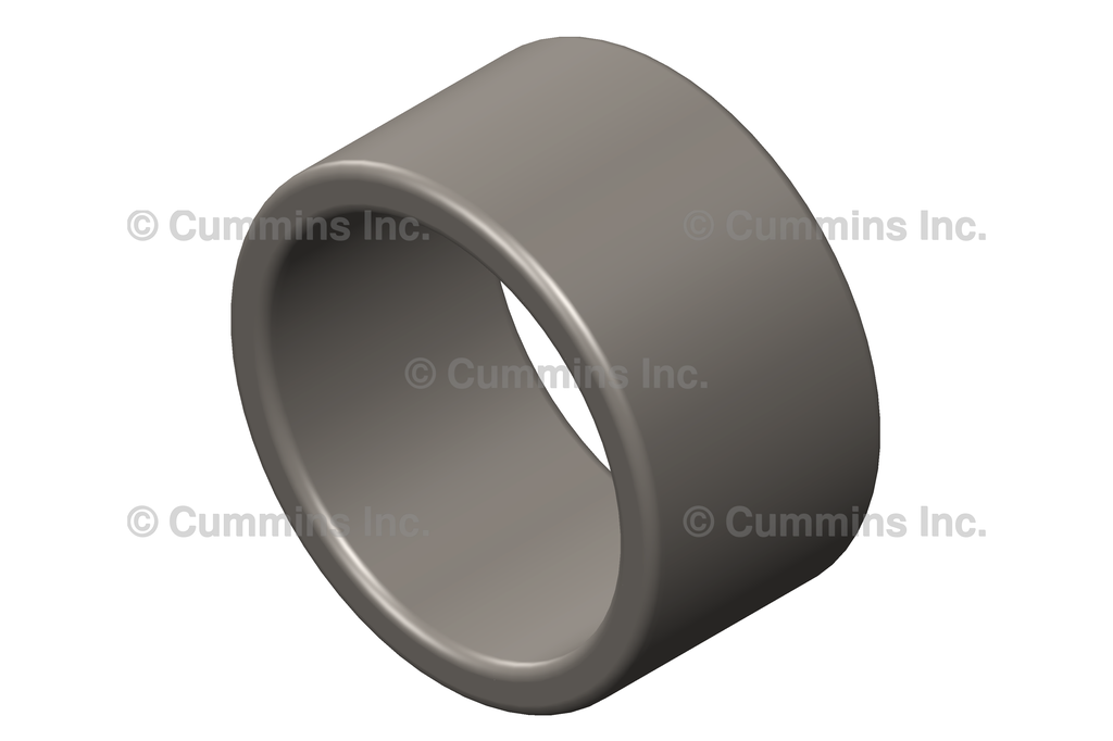 3893913 BEARING,NEEDLE