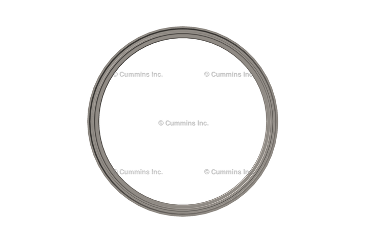 3895023 SEAL,DUST