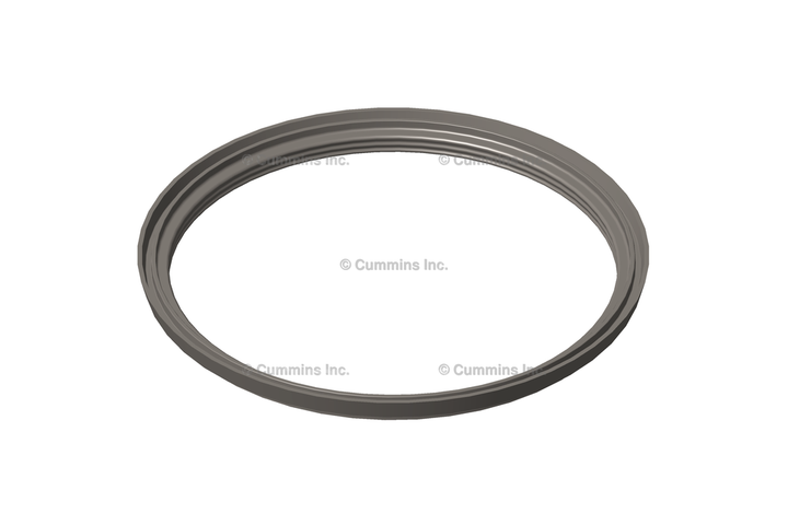3895023 SEAL,DUST