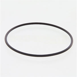 3899283CUM SealO Ring