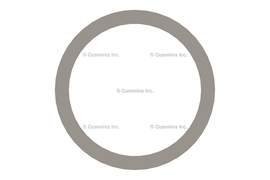 3902425 WASHER,SEALING