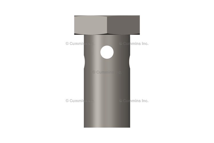 3903035 SCREW,BANJO CONNECTOR