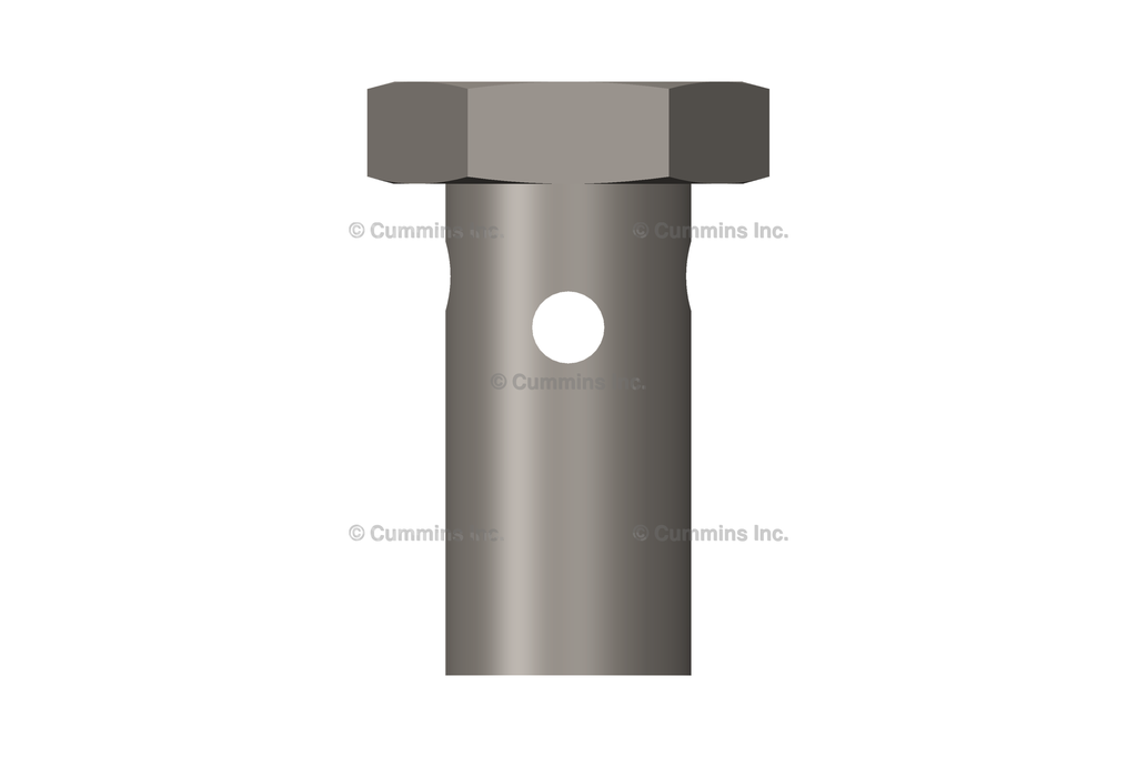 3903035 SCREW,BANJO CONNECTOR