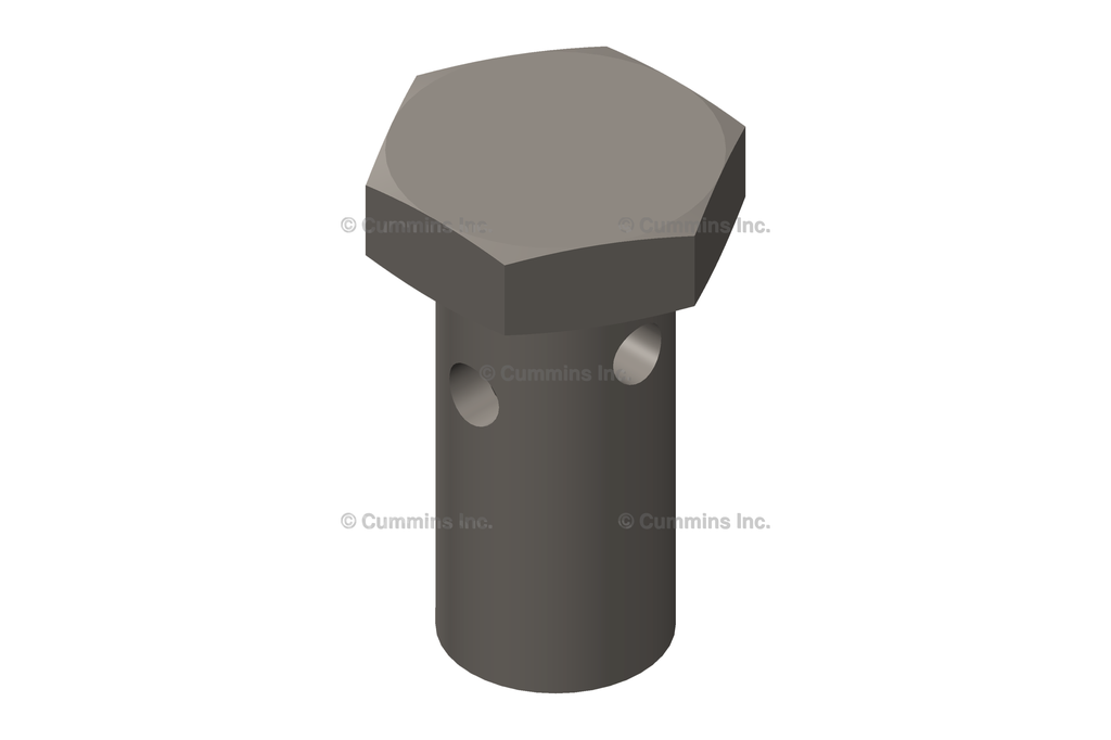 3903035 SCREW,BANJO CONNECTOR