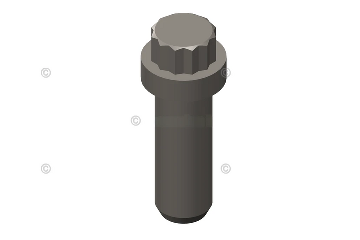3903834 ScrewTwelve Point Cap