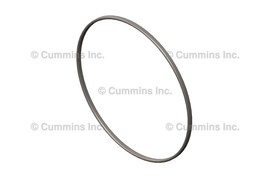 3906694 SEAL,RECTANGULAR RING