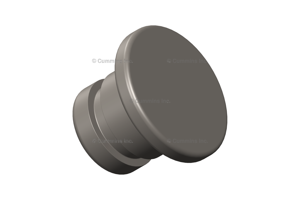 3910248 PLUG,O RING