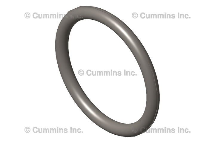 3913994 SEAL,O RING Image 1