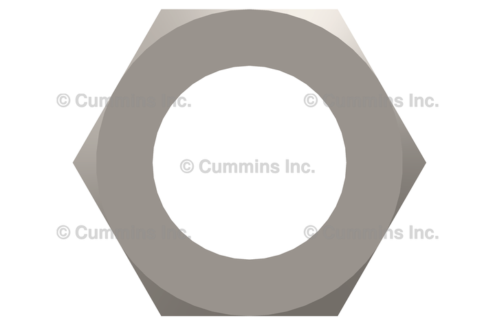 3934864 NutRegular Hexagon