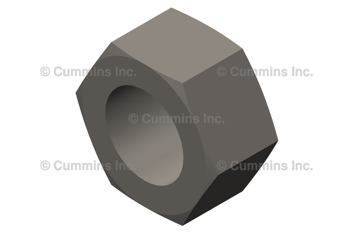 3934864 NutRegular Hexagon