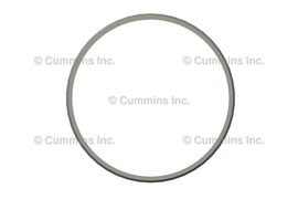 3935032 SEAL,RECTANGULAR RING