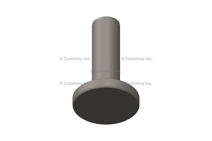 3942565 TappetValve