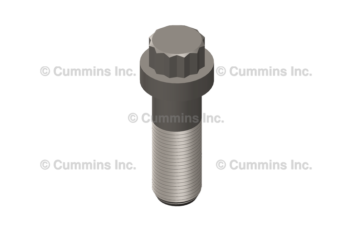 3968470 ScrewTwelve Point Cap