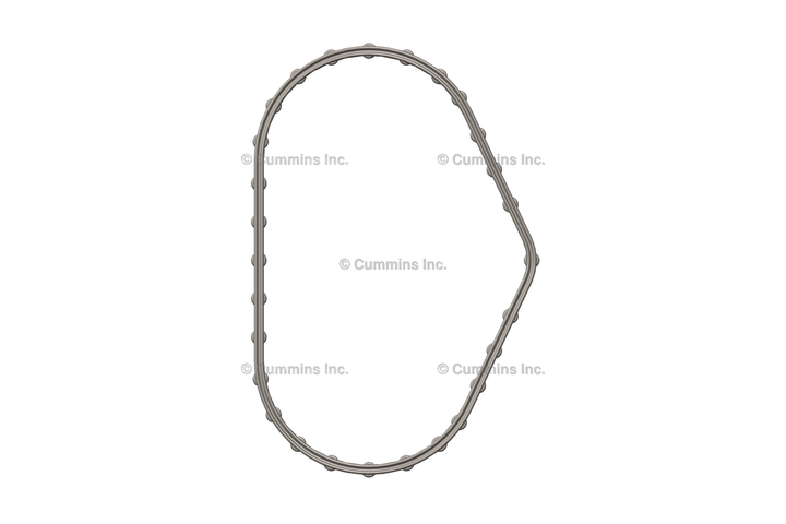 4010636 SEAL,MISC FUEL PUMP