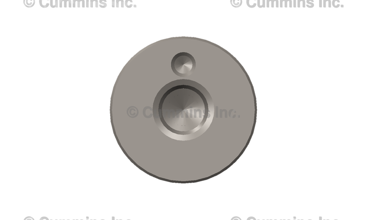 4298628 CAMSHAFT