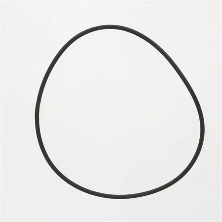 4299125CUM SealO Ring