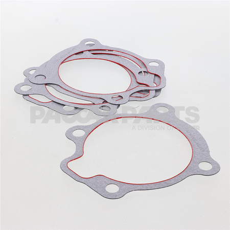 4307247 Gasket
