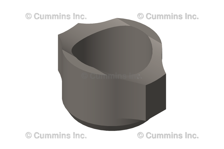 4982882 SEAL,DUST