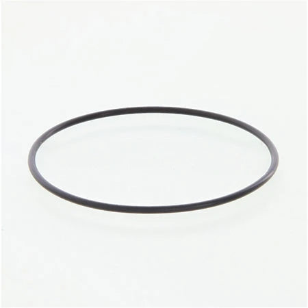 4992509CUM SealO Ring