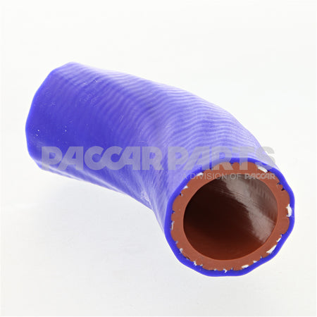 5258626CUM HoseMolded