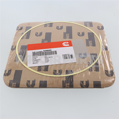 5298565CUM Shim