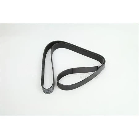 5413196CUM BELT,V RIBBED