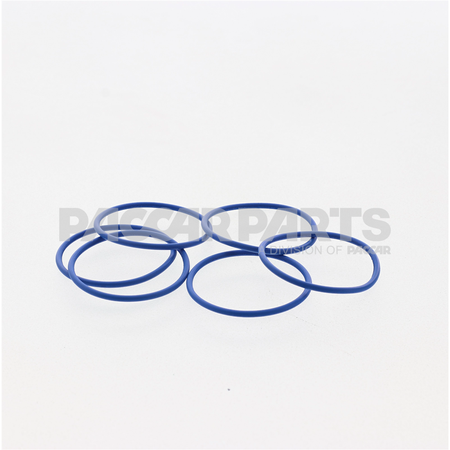 5440257CUM SealO Ring