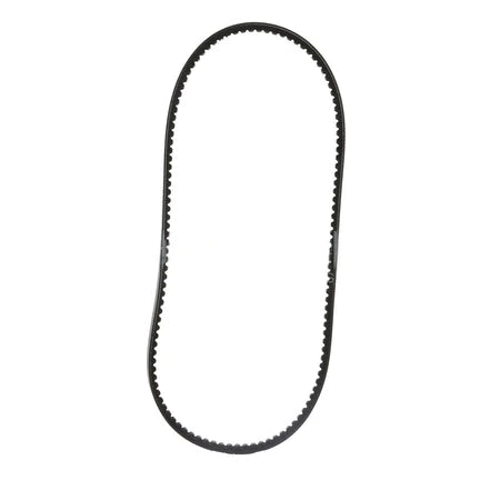 5690167CUM BELT, V RIBBED