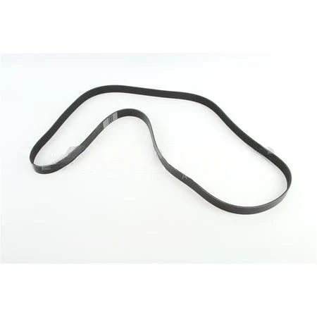 825K8BLT BeltPoly 8 Ribs X 82 12 El