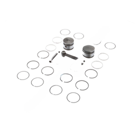 BW  108842N TF-750STD PIST/R