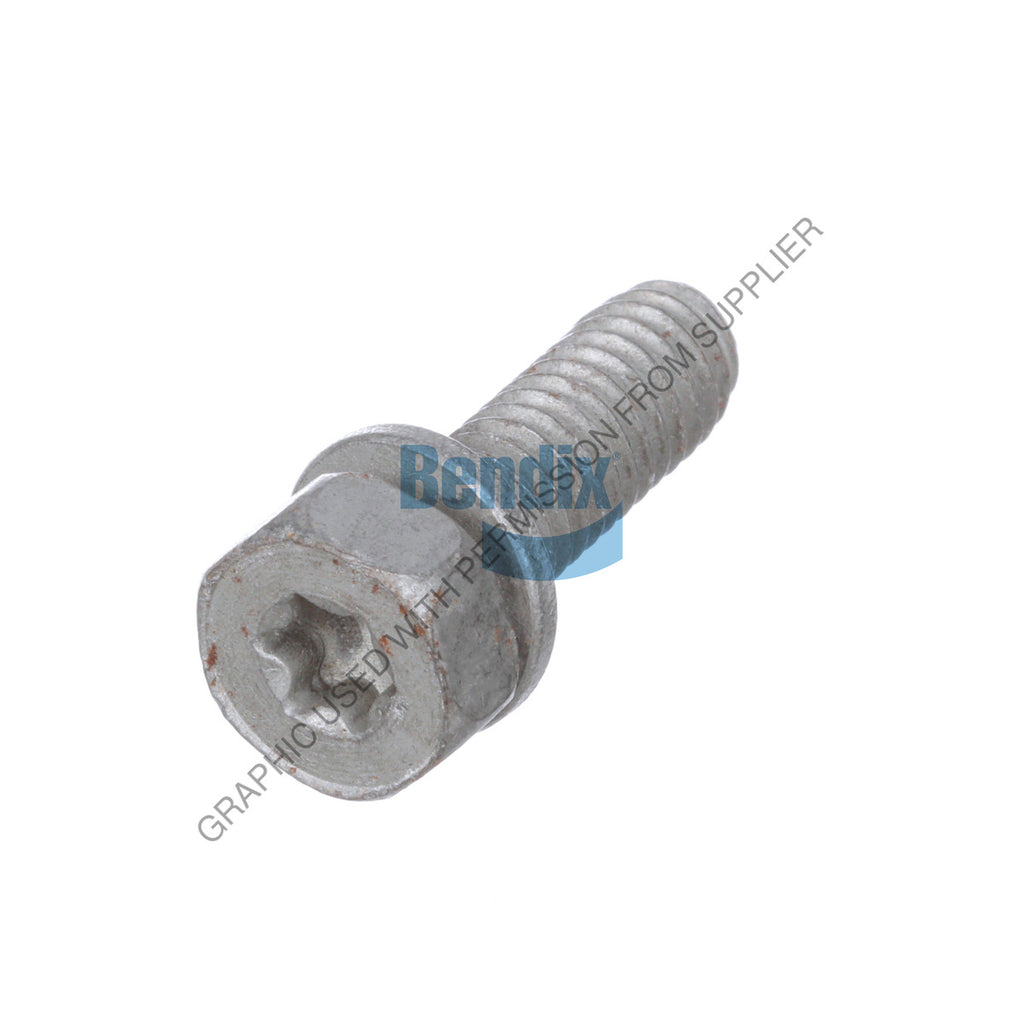 BW  113052N 5/16 HEX/TORX SCREW