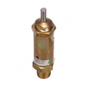 BW  221154N SAFETY VALVE