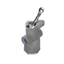 BW  225892N VALVE