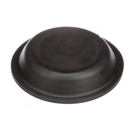 BW  234100N DIAPHRAGM