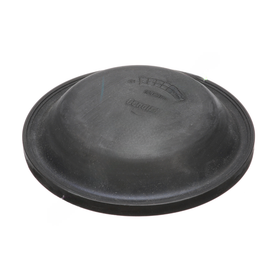BW  234226N DIAPHRAM