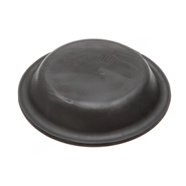 BW  234362N DIAPHRAM