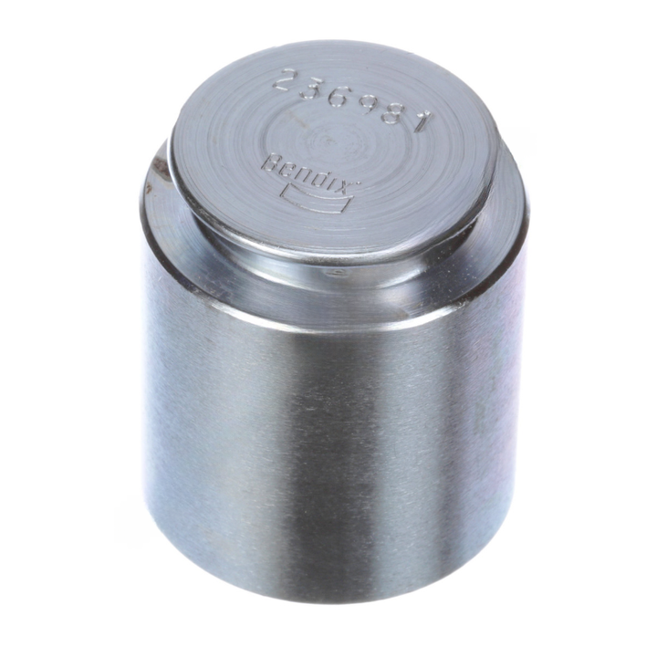 BW  236981N PLUNGER