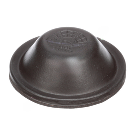 BW  237579 DIAPHRAGM