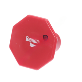 BW  247348N BUTTON