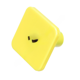 BW  248434N BUTTON
