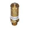 BW  285850 SAFETY VALVE