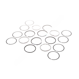 BW  5005361 STD RING KIT