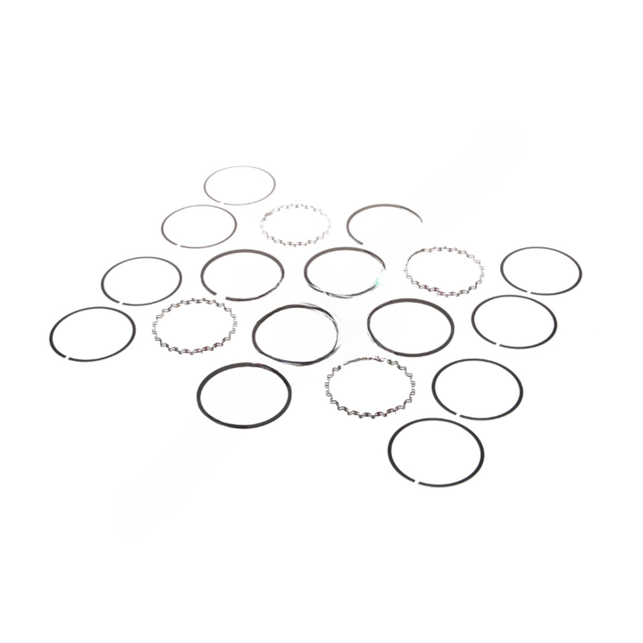 BW  5005361 STD RING KIT