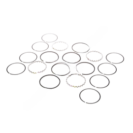 BW  5005362 RING KIT TF-750.010