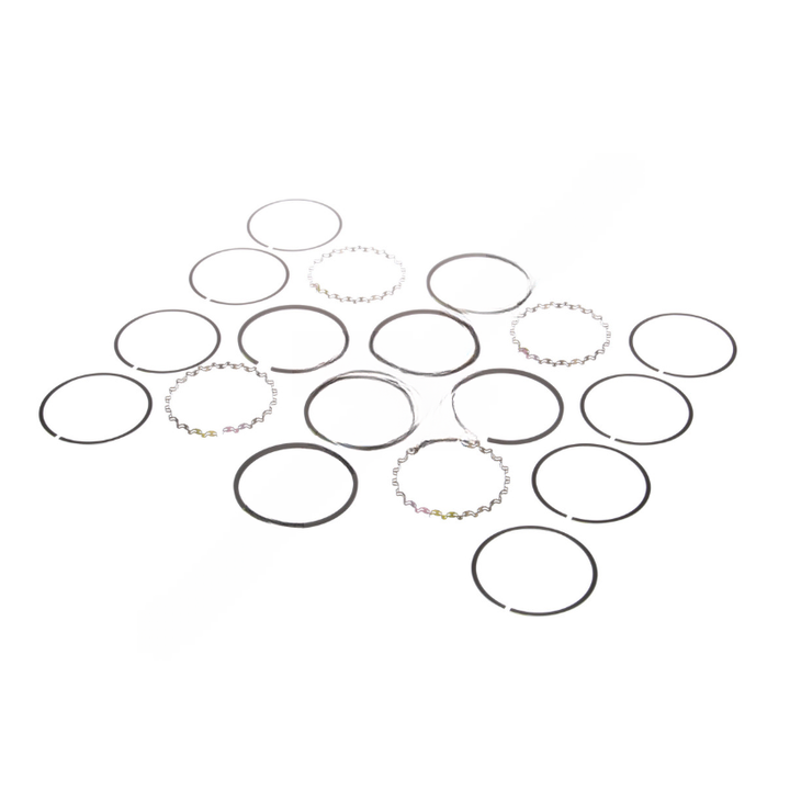 BW  5005362 RING KIT TF-750.010