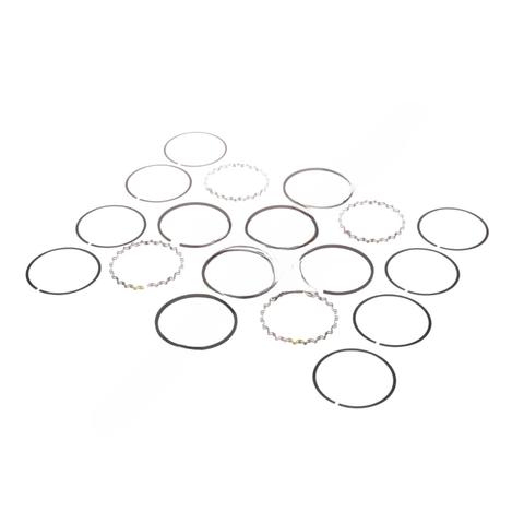 BW  5005362 RING KIT TF-750.010