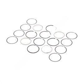 BW  5005363 TF-750 .020 RING KIT