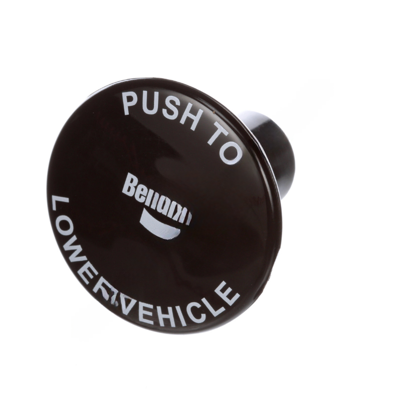 BW  5008481 PP-5 BUTTON