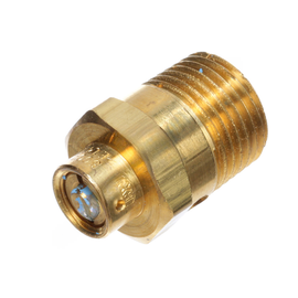 BW  800019 VALVE