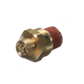 BW  800170 SAFETY VALVE